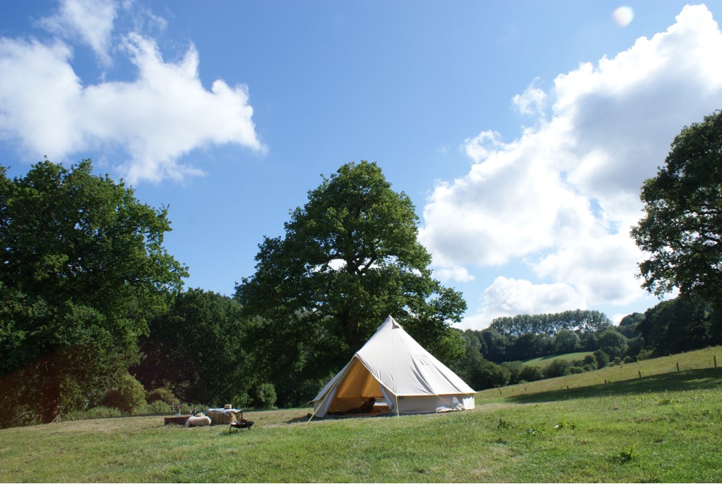 Wheatham Farm field view with a bell tent