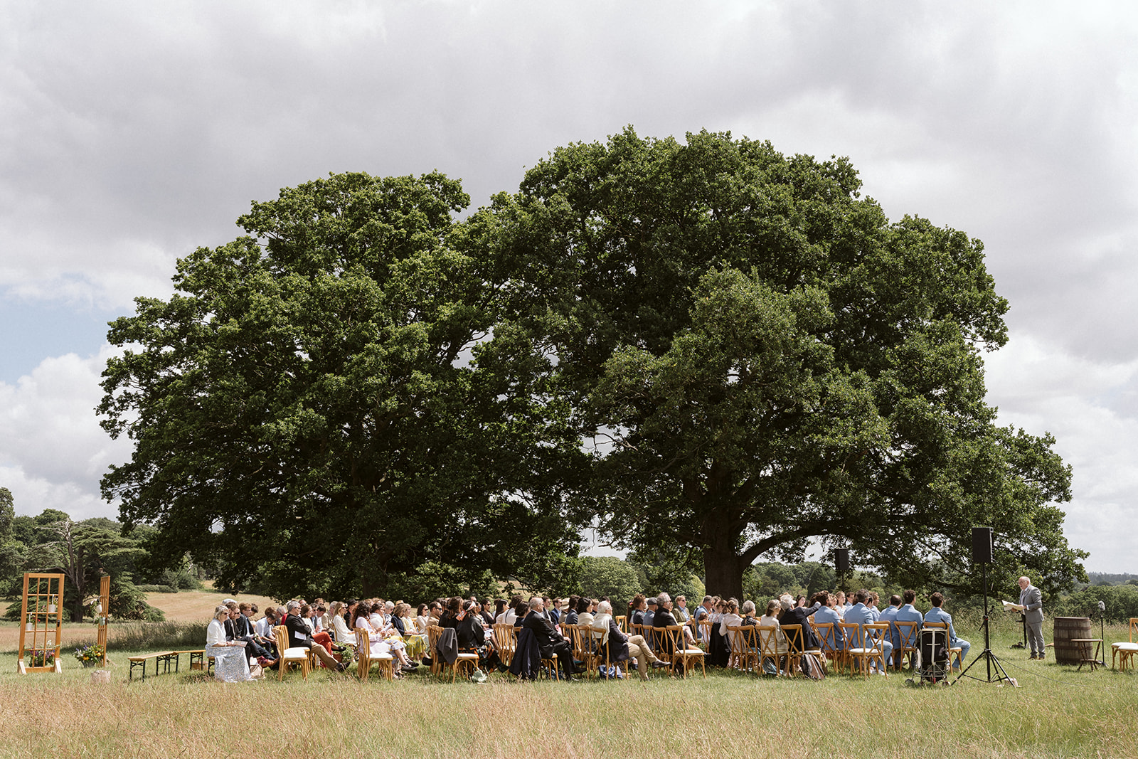 outdoor ceremony in front of two oak trees