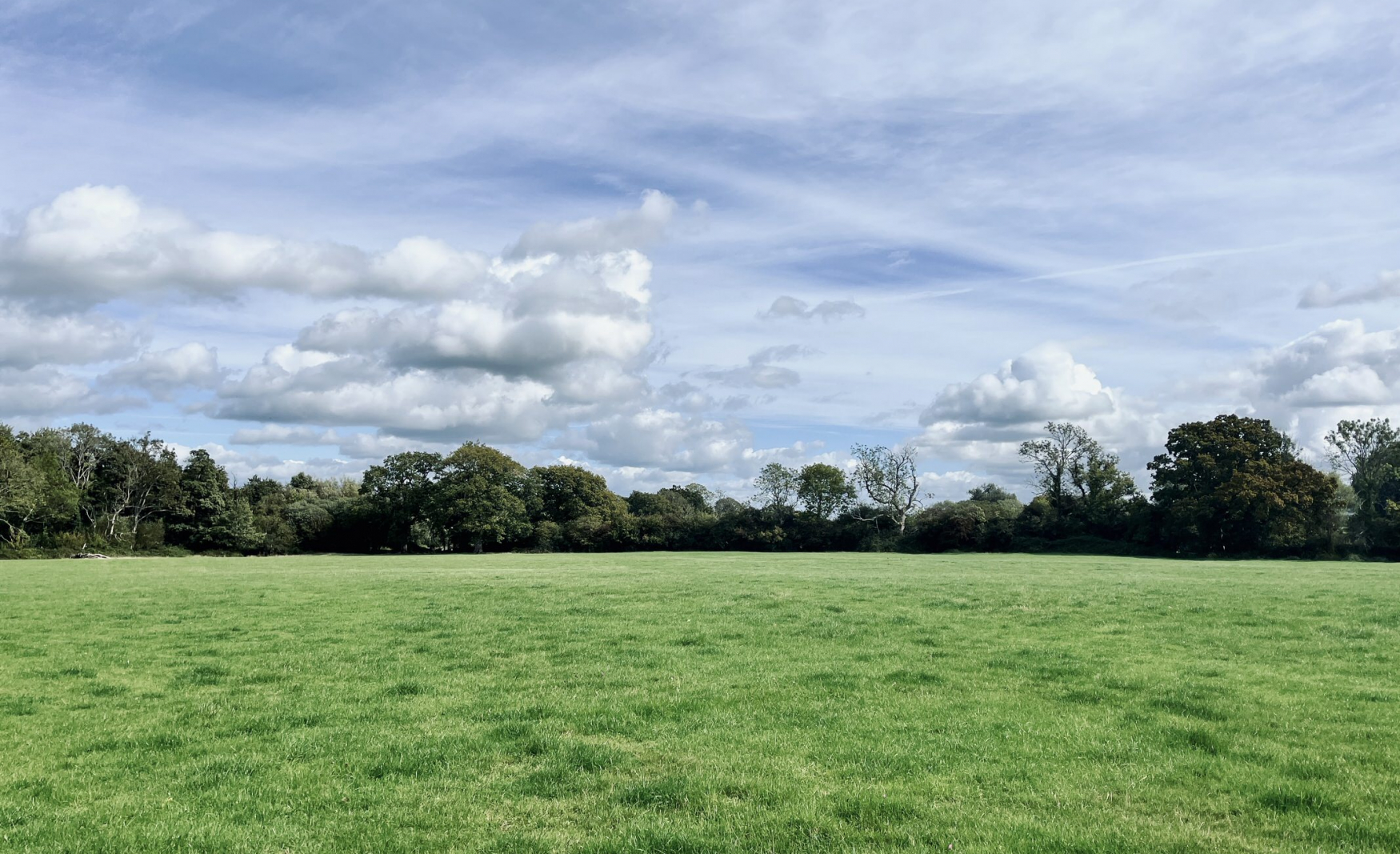 fiesta_fields_Wiston_estate_west_sussex_wedding_venue_1