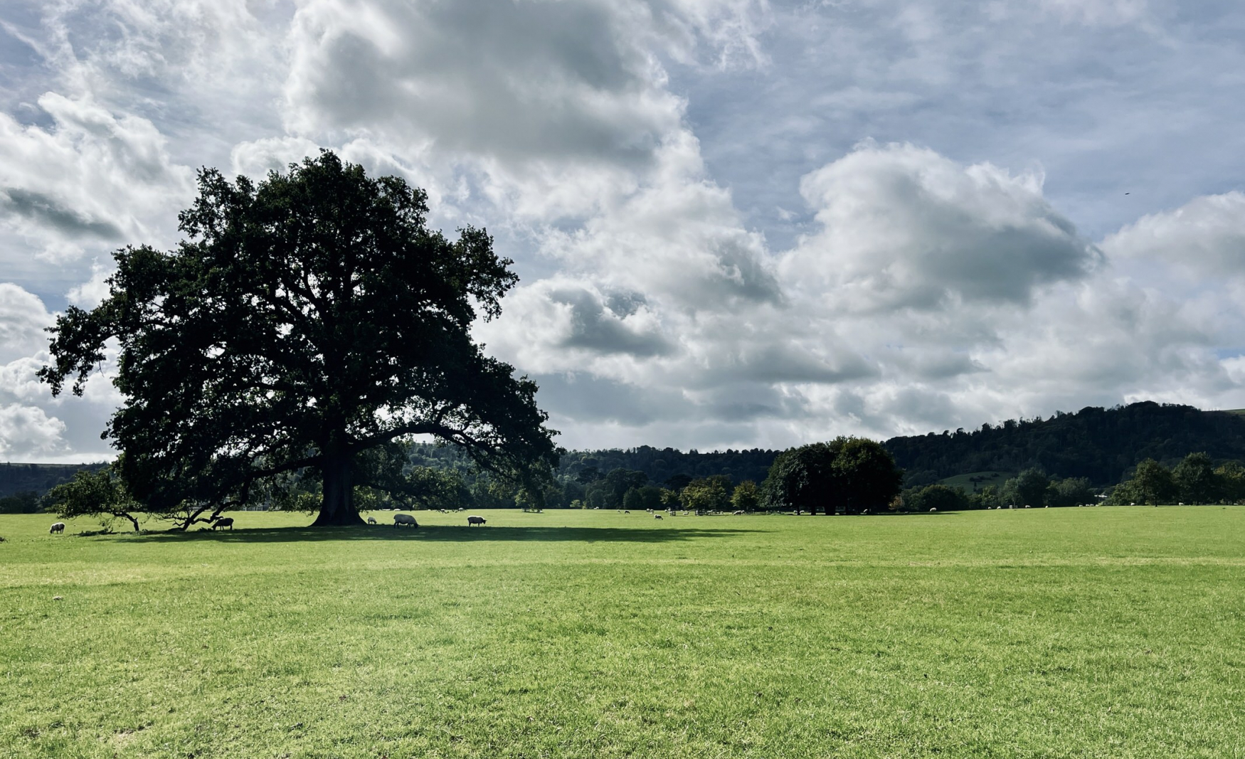 fiesta_fields_Wiston_estate_west_sussex_wedding_venue_2