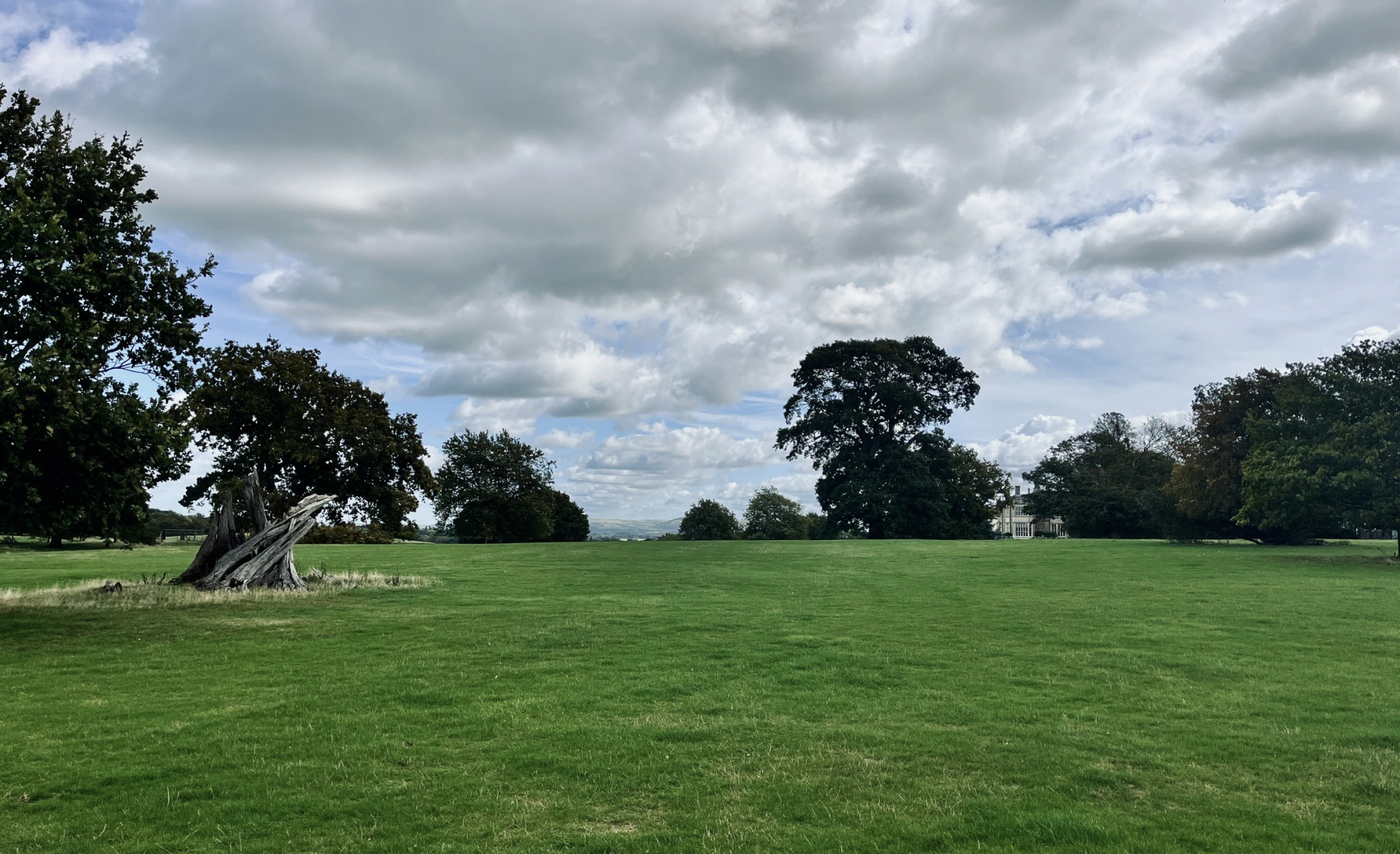 fiesta_fields_Wiston_estate_west_sussex_wedding_venue_4