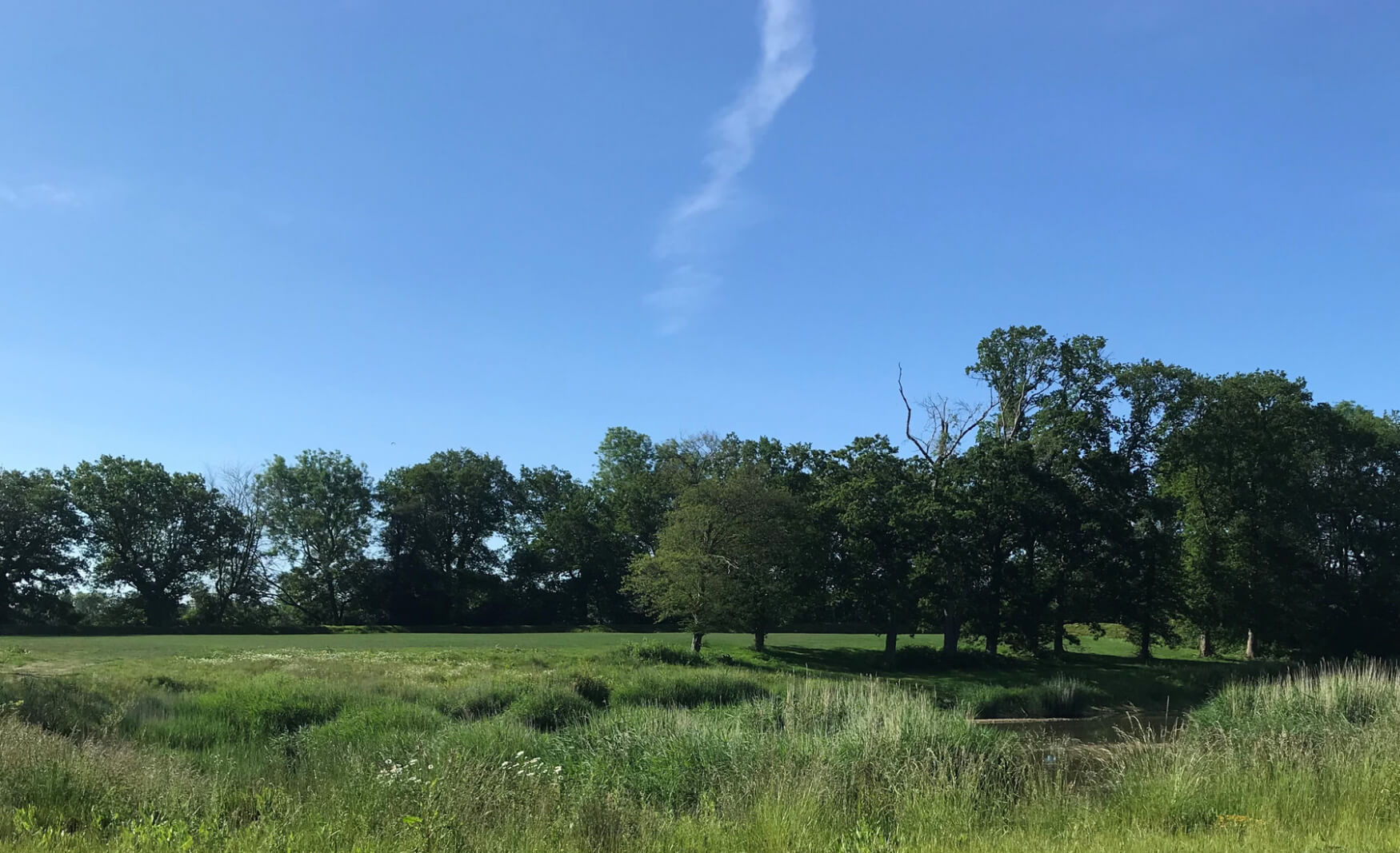 fiesta-fields-holmsted-farm-glampsite_crop-1-1750x1067_c (1)