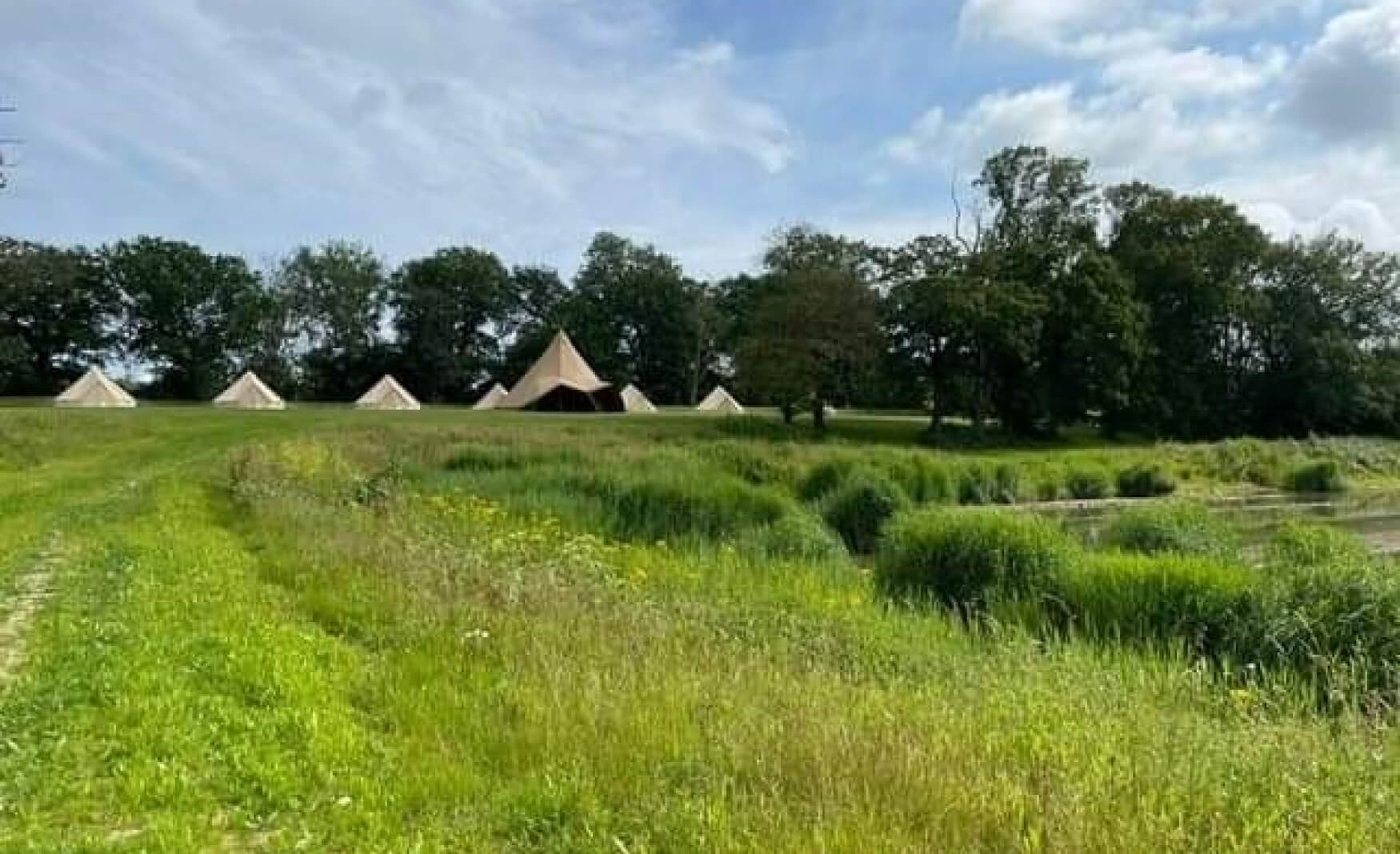 fiesta-fields-holmsted-farm-west-sussex-1750x1067_c (1)